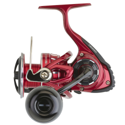 Daiwa BG RR LT 5000 DC ARK Olta Makinesi - Daiwa