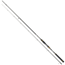Daiwa BG Seabass 244cm 7-28gr Seabass Kamış - Daiwa