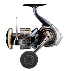 Daiwa Caldia 22 SW 8000 P Makara - Daiwa
