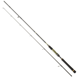 Daiwa Crosscast Df 2.44m 7-28gr 2p Spin Kamış - Daiwa