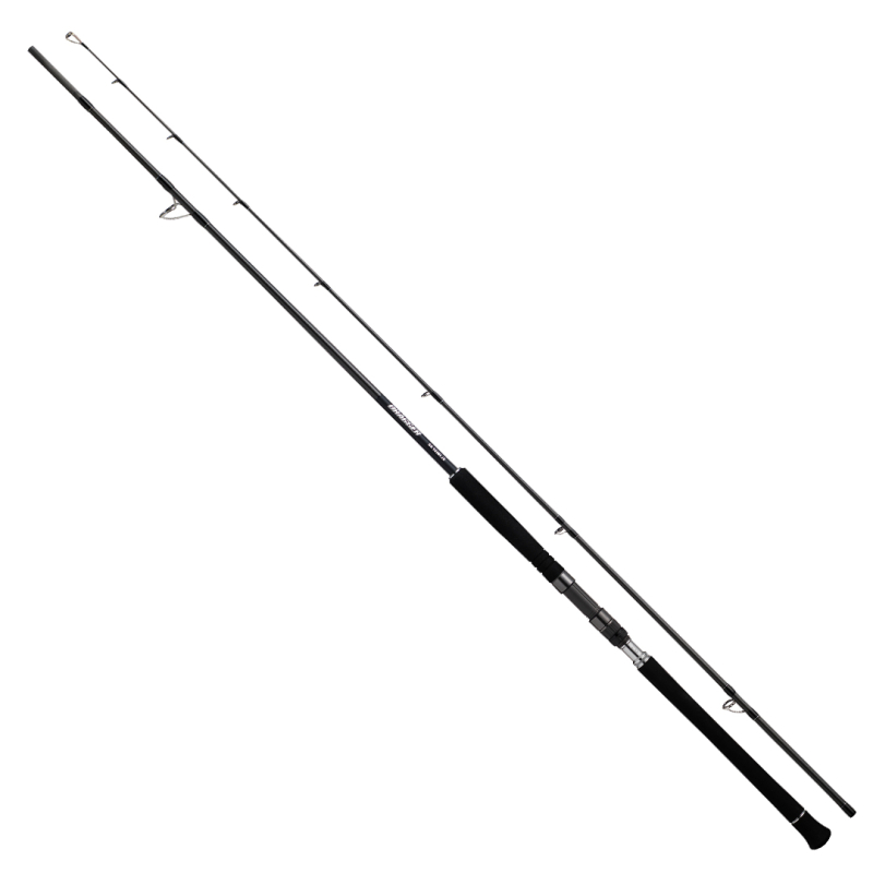 DAIWA DRAGGER SX 3.05M, LURE MAX 100GR, JIG MAX 130 GR, 2P SHORE JIG KAMIŞ - 1