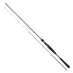 Daiwa Emeraldas Boat 1.98m 40-100gr 2P Kamış - Daiwa