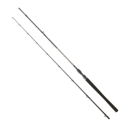 DAIWA EXCELER CASTING 2.24M, 28-84GR, 2P KAMIŞ - 1