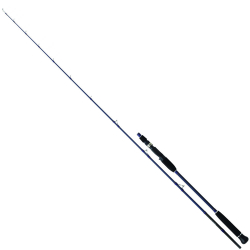 Daiwa Exceler Oceano 193cm MAX180 Olta Kamışı - Daiwa