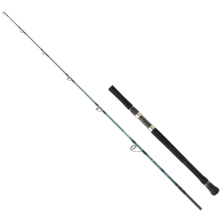 Daiwa Grandwave 1.68m 15-50 gr 2p Jig Olta Kamışı - Daiwa