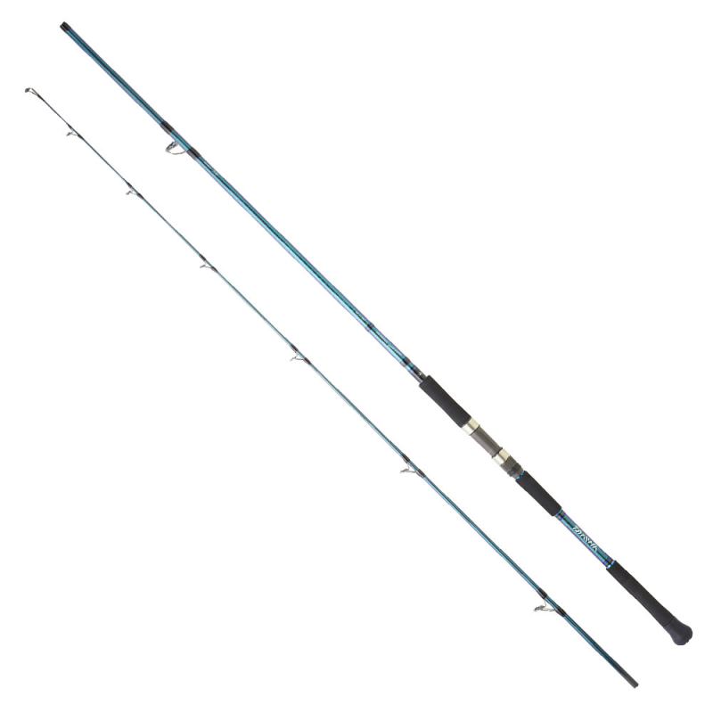 Daiwa Grandwave 2.90M 28-84gr 2P Shore Jig Olta Kamışı - 1