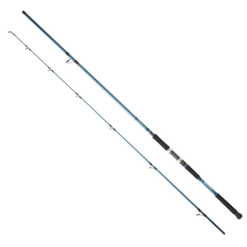 Daiwa Grandwave 3.05M 60-120gr 2P Shore Jig Olta Kamışı - 1