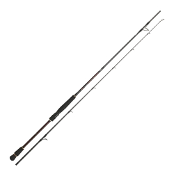 DAIWA INFEET SEABASS 3.05M, 14-56GR, 2P KAMIŞ - Daiwa