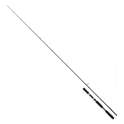 Daiwa Legalis Seabass 2.21m 28-84gr 1+1 Kamış - Daiwa