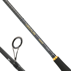 DAIWA LEGALIS SEABASS BF 2.44M, 10-35GR, 2P KAMIŞ - 2