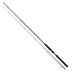 Daiwa New Bg Seabass 2.50m, 10-35gr 2p Spin Olta Kamışı - Daiwa