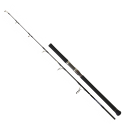 Daiwa New Saltiga AP 1.69m 300gr 2P Jig Olta Kamışı - Daiwa