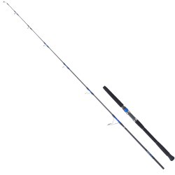 Daiwa New Saltiga GT 2.59m 100-180gr 80LB 2P Jig Olta Kamışı - Daiwa