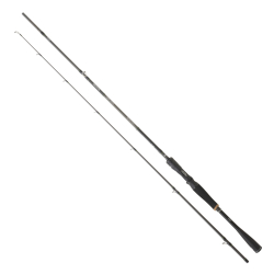 DAIWA PROREX XR CASTING 2.24M, 60-120GR, 2P KAMIŞ - Daiwa