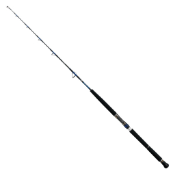 Daiwa Saltiga Deep 55 165cm 100-300 Olta Kamışı - Daiwa