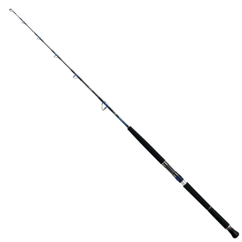 Daiwa Saltiga Deep 55 165cm 100-300 Olta Kamışı - 1