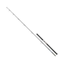 DAIWA SALTIGA GT CF 2.57M, 50-150GR, 1+1P JIG KAMIŞ - 1