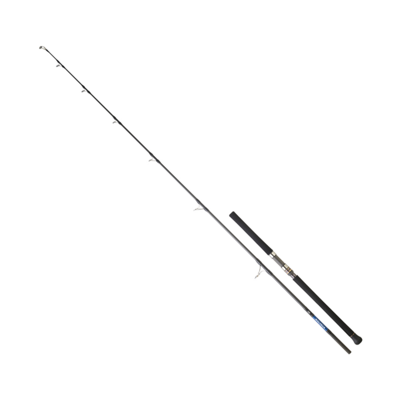 DAIWA SALTIGA GT CF 2.57M, 50-150GR, 1+1P JIG KAMIŞ - 1