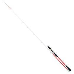 Daiwa Sensor 2.10M 30-120 gr 2P Bot Olta Kamışı - Daiwa