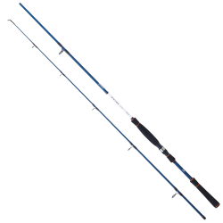 Daiwa Spitfire Seabass 2.40m 14-42gr 2p Spin Olta Kamışı - Daiwa