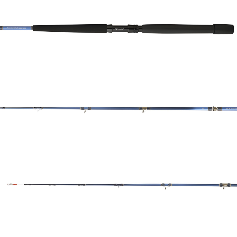 Daiwa Tanacom 2.00m 250-1000gr 2P Bot Kamışı - 2