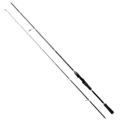 RYUJI AERO 2.10M 4-35GR 2P SPIN KAMIŞ - Ryuji