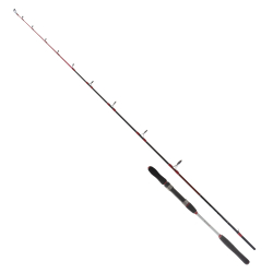 Ryuji Searider 1.80m 60-180gr 2P Jig Kamış - Ryuji