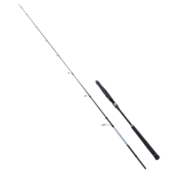 RYUJI SEAWOLF PLUS FUJI 1.98M 150-250GR 2P JIG KAMIŞ - Ryuji
