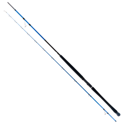 Ryuji Shore Game Fuji 2.85m 25-85gr 2P Shore Jig Kamış - Ryuji