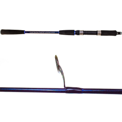 Ryuji Strobe 1.98m 80-170gr 2P Jig Olta Kamışı - 2