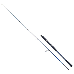 Ryuji Strobe II 1.98m 60-130gr 2P Jig Olta Kamışı - Ryuji