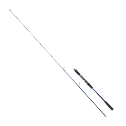 RYUJI STROBE SP 1.98M 20-80GR 2P JIG KAMIŞ - Ryuji