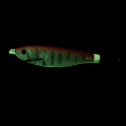 Ryuji Toto Squid 7cm Kalamar Jighead - 4